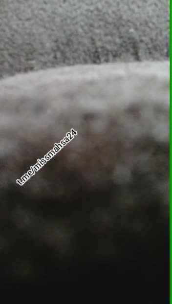 سکس ایرانی – سکس – فیلم سکسی ایرانی – سوپر ایرانی – پورن ایرانی (3255).mp4 - تماشای آنلاین در بکن تو