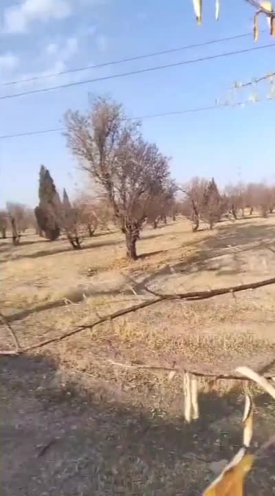 🍑 کلیپ سکسی تهرانی داغ 【 پخش آنلاین 】 سایت بکن تو