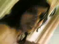 Iranian Young Teen Girlfriend Gives a Great Blowjob for her Boyfriend.mp4 - تماشای آنلاین در بکن تو