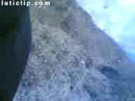 Iranian Doggy Style Painful Amateur Anal in The Nature.mp4 - تماشای آنلاین در بکن تو