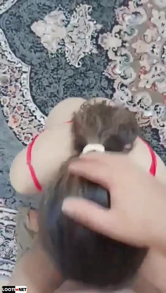 اینبار با ست قرمز اول بدن نمایی میکنه بعد ساک میزته از اخرم داگی میده به دوس پسرش.mp4 - تماشای آنلاین در بکن تو