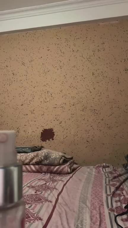 لایو سکسی فرناز مرادی با ست صورتی.mp4 - تماشای آنلاین در بکن تو