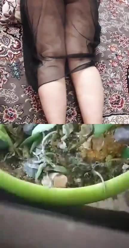 لایو سکسی ایرانی زنش دمر خوابیده از کونش فیلم میگیره.mp4 - تماشای آنلاین در بکن تو