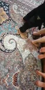 کاور شورت